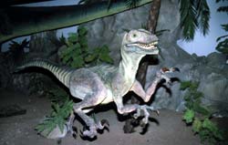 Dinosauriermuseum in Esperaza