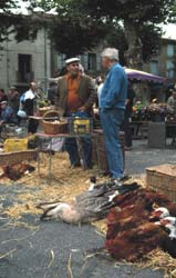Markt in Mirepoix