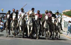 Abrivado